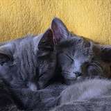 naughtiestgal from onlyfans